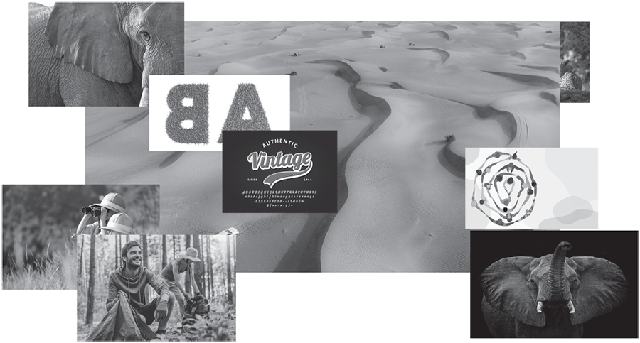 January 2024 draft mood board with elephant photographs, a landscape, grass-texture lettering, a vintage typeface specimen, camping photographs and an abstract graphic.