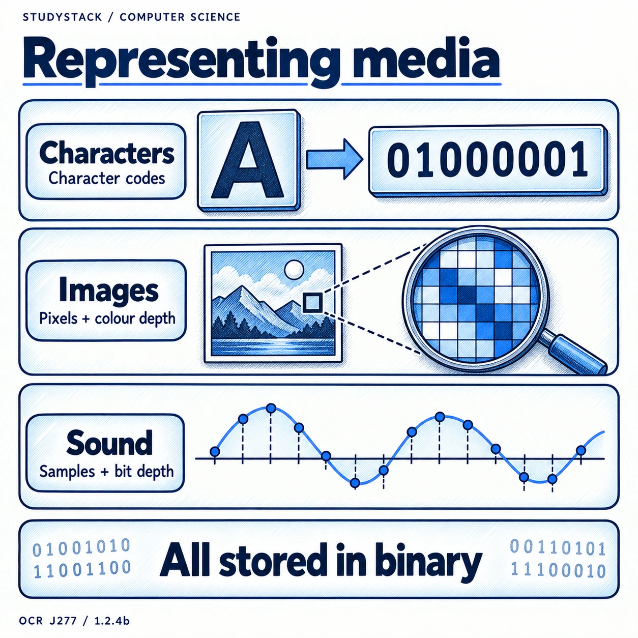 The character A is encoded as 01000001; a bitmap contains coloured pixels; digital sound records samples of a wave.